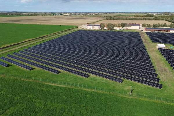 Azienda Agricola Gorino Sullam: revamping per impianto da 1 MW